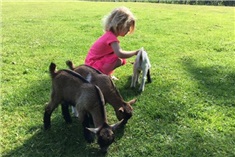 Leuke dierenuitjes met kinderen in regio Leiden