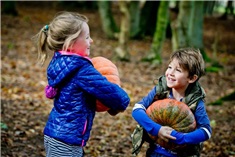 16x leuke herfstvakantie uitjes met kids