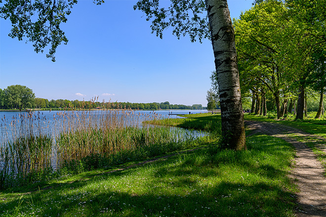 Rondje bussloo wandelen