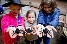 Halloween activiteiten voor kids rondom Apeldoorn en Deventer