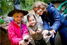 Halloween-uitjes voor kids in Breda, Oosterhout en Etten-Leur en omgeving!