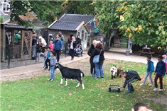 12x kinderboerderij in Den Bosch en iets verder! 