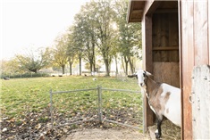 Toffe herfstactiviteiten bij Stad & Natuur!