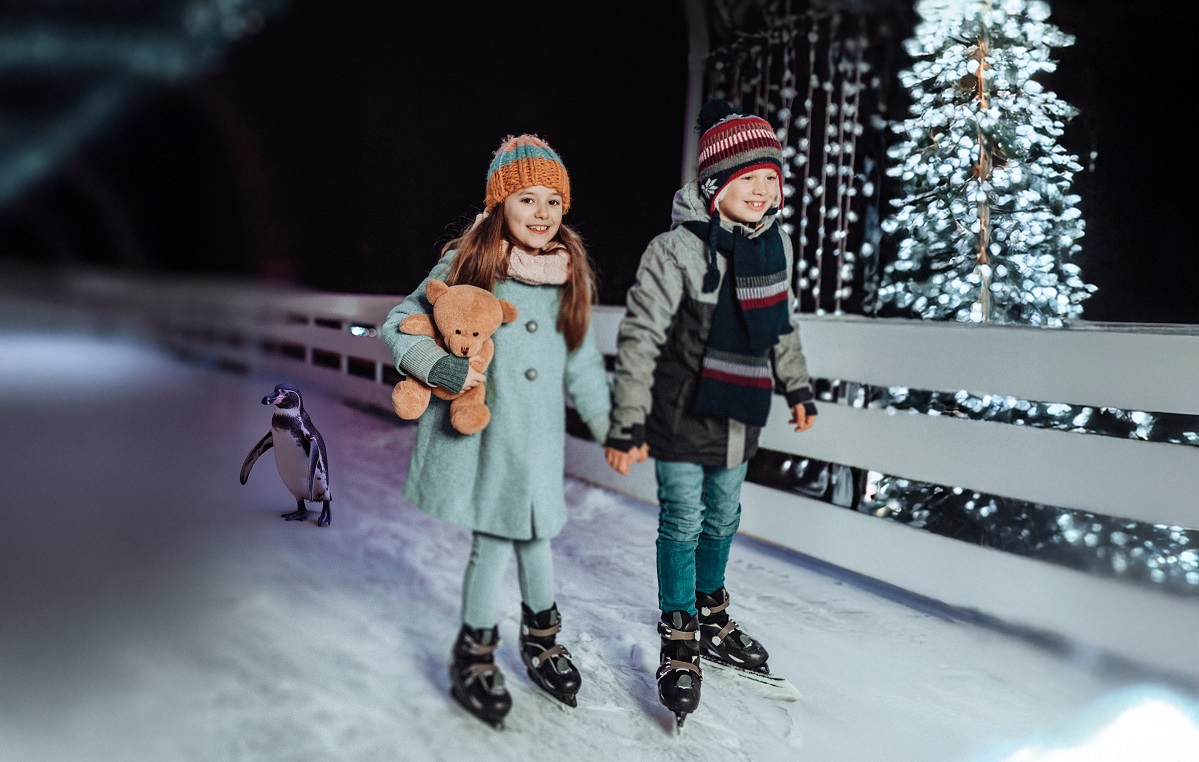 Natuurmuseum Fryslan kerstvakantie