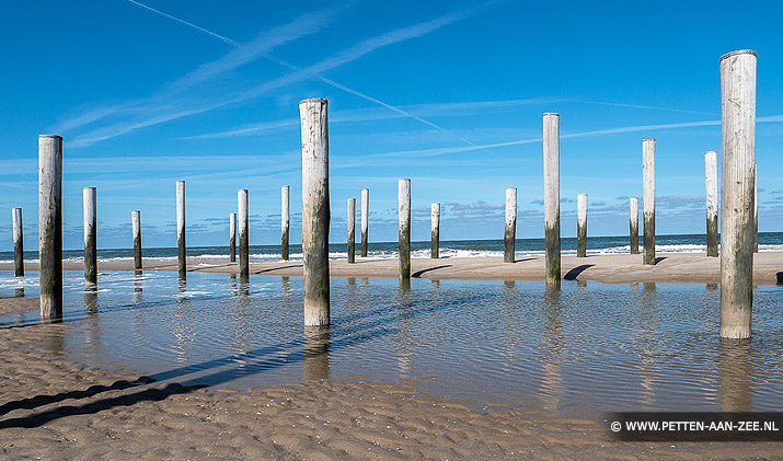 Palendorp Petten