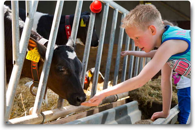 Kaasboerderij De Deele