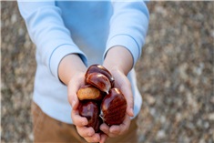 14x herfstknutselen met eikeltjes en kastanjes