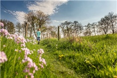 9x Wandelroutes voor gezinnen in Groningen 