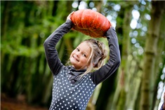 Herfstvakantie uitjes in en om Nijmegen