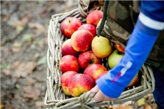 Herfst! Wat is nu leuk om te doen met de kids?