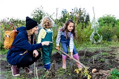 Oogstfeest | Utrecht Natuurlijk