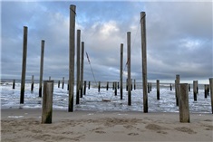 Palendorp op het strand van Petten 