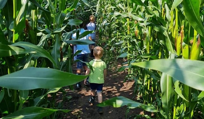 Boeren en tuinders pakken uit