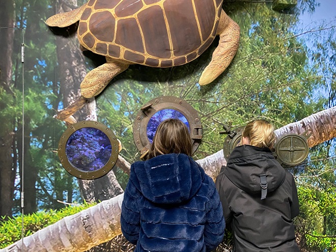 zeeaquarium-bergen-aan-zee-vissen-kijken