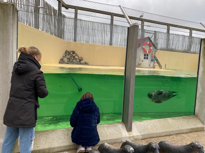 zeeaquarium-bergen-aan-zee-zeehonden