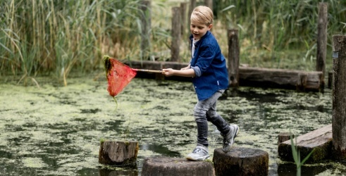 Natuuractiviteiten en excursies voor kids in Apeldoorn-Deventer