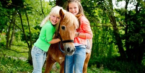 Kinderboerderijen & dierenparken in Breda 