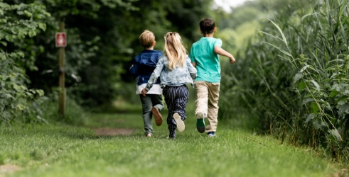 Natuuractiviteiten en excursies voor kids in Arnhem