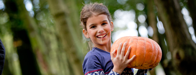 Herfstvakantie in en om Arnhem