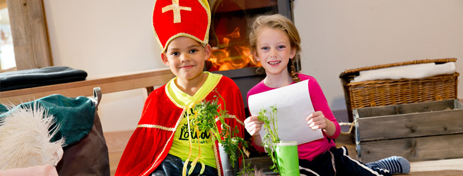 Alle Sinterklaasintochten op een rij