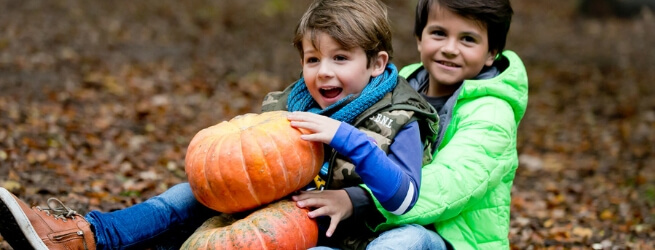 Herfst in Drenthe!