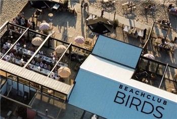 Beachclub BIRDS