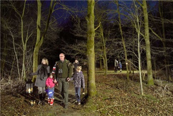 Lichtjeswandeling Lelystad