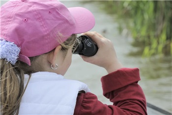 Gezinsvaartocht naar Vogele