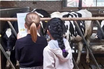 Bij Boer Sjaak Boerderij