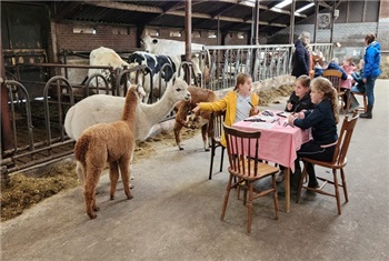 Kinderfeestje op boerderij