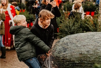 Zelf je kerstboom omhakken