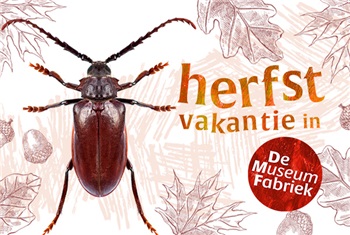 Herfst in de Museumfabriek