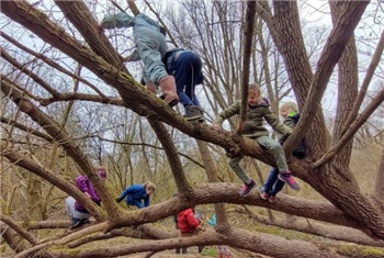 Natuurfeestje