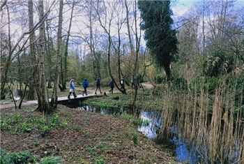 Natuurfeestje