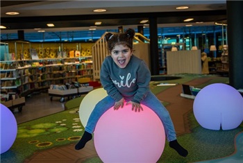 De Nieuwe Bibliotheek