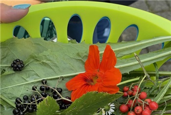 Herfstvakantie De Papaver