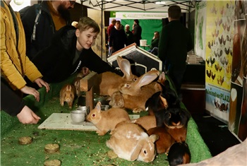 Dierenparade Noordshow