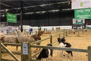 Giga indoor kinderboerderij