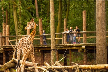 Op Reis Tussen De Dieren Van Dierenpark Amersfoort Kidsproof Amersfoort