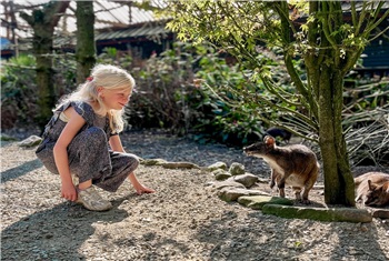 Masterclass Dieren