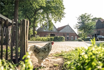 Slapen en eten bij de boer