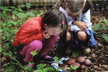 Herfstvakantie activiteiten