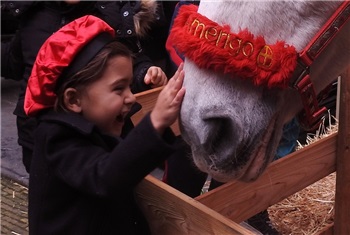 Het Grote Sinterklaashuis