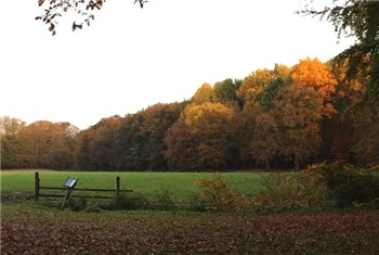 Herfstwandeling