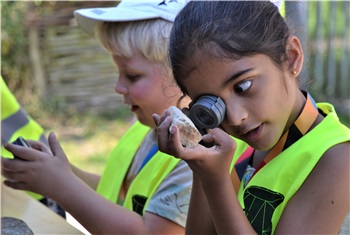 Zomervakantie activiteiten