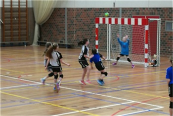 Verslinden Lang Aanvrager Handbalvereniging Zwolle - HV Zwolle | Kidsproof Zwolle