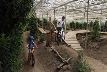 Indoor Mountainbike