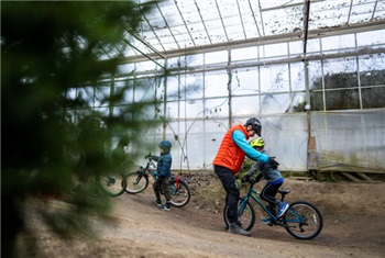 Indoor Mountainbike