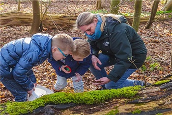 Bodemdiertjes zoeken (6+)