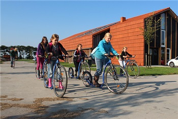 Steppen en wandelen (8+)